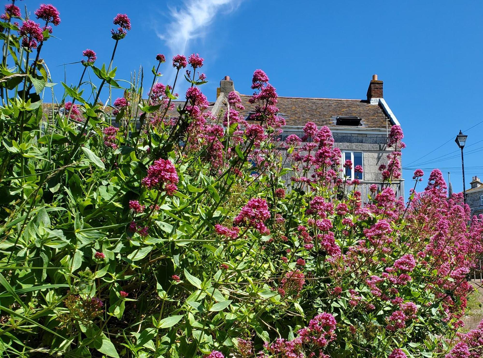 Sea View Cottage ポートランド エクステリア 写真